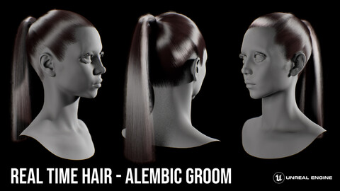 Real Time Groom Hair Pony Tail for Unreal Engine - Alembic file included