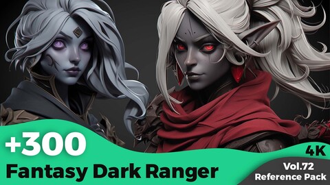 +300 Fantasy Dark Ranger Head Reference(4k)