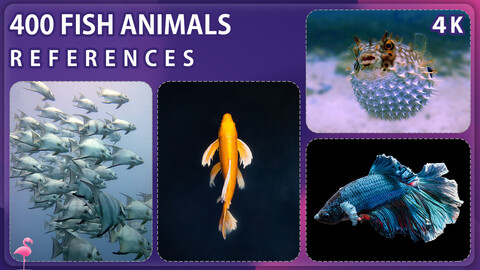 400 Fish Animals Reference Pack – Vol 1