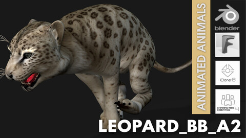 Leopard_Baby_A2