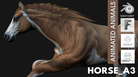 Horse_A3