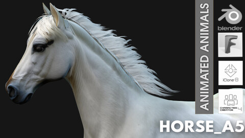 Horse_A5