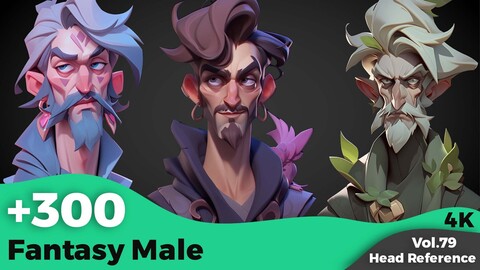 +300 Fantasy Male Head References(4k)