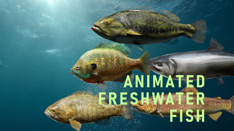 Freshwater Fish Collection