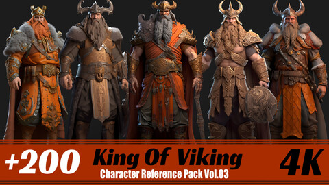 +200 King Of Viking | 4K | Character Reference Pack Vol.03