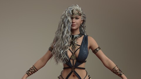 Beautiful Warrior Woman 3D