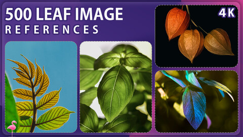 500 Leaf Photo Reference Pack – Vol 1