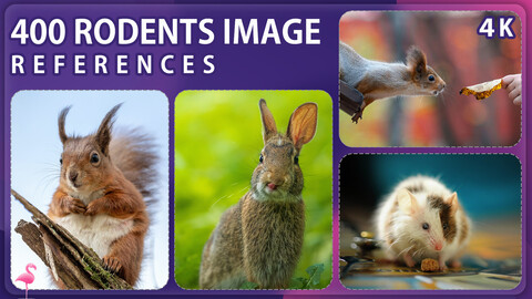 400 Rodents Photo Reference Pack – Vol 1