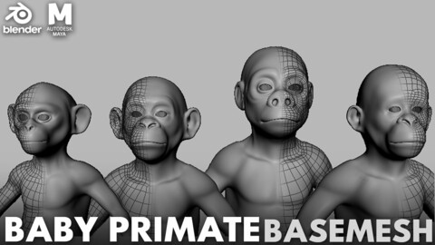 Baby Primate  BaseMesh ( Monkey, Chimp, Gorilla, Orangutan ) - Topology + UV map