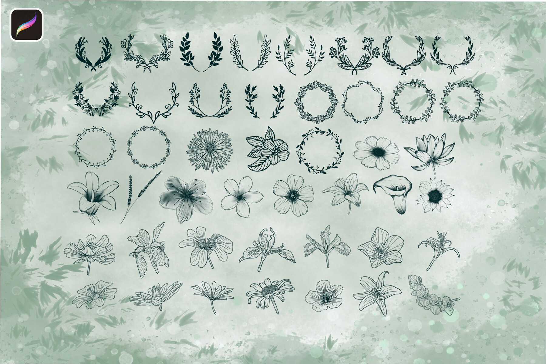 PNG Flowers, Flower Stamp Brushes Procreate, Botanical Stamps, Floral Stamps,  Clipart PNG, Flower Tattoos, Flower Drawings Commercial Use -  Canada