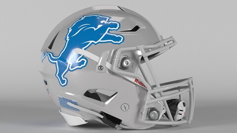 DETROIT LIONS Helmet Football NFC North PBR