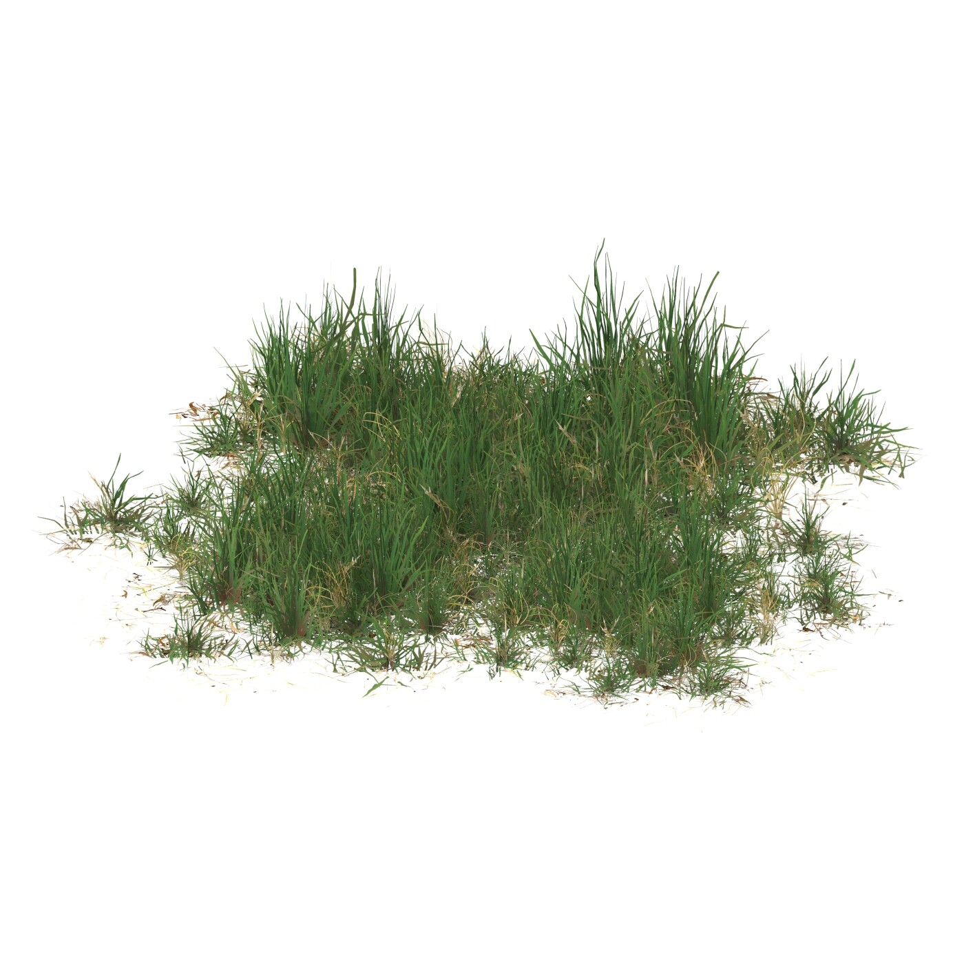 ArtStation - Realistic Game Ready Grass 11 | Resources