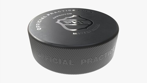 Ice Hockey Puck