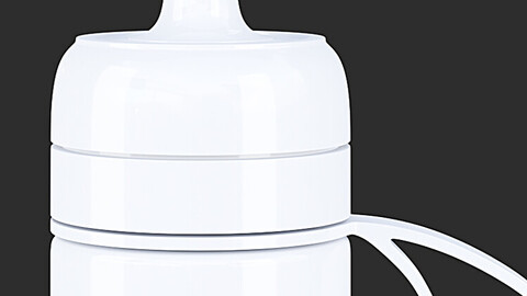 Water Filtering Bottle II