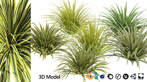 Low poly Carex siderosticha grass 3d model