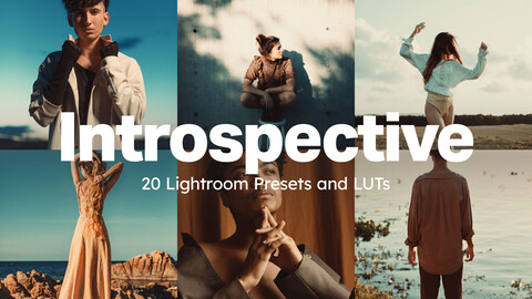 20 Introspective LUTs & Lightroom Presets