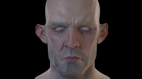 Male Stylized  Head Sculpt ready for animation (Texture included)