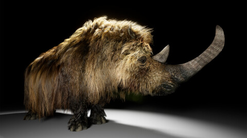 The Woolly Rhino - Unreal Engine