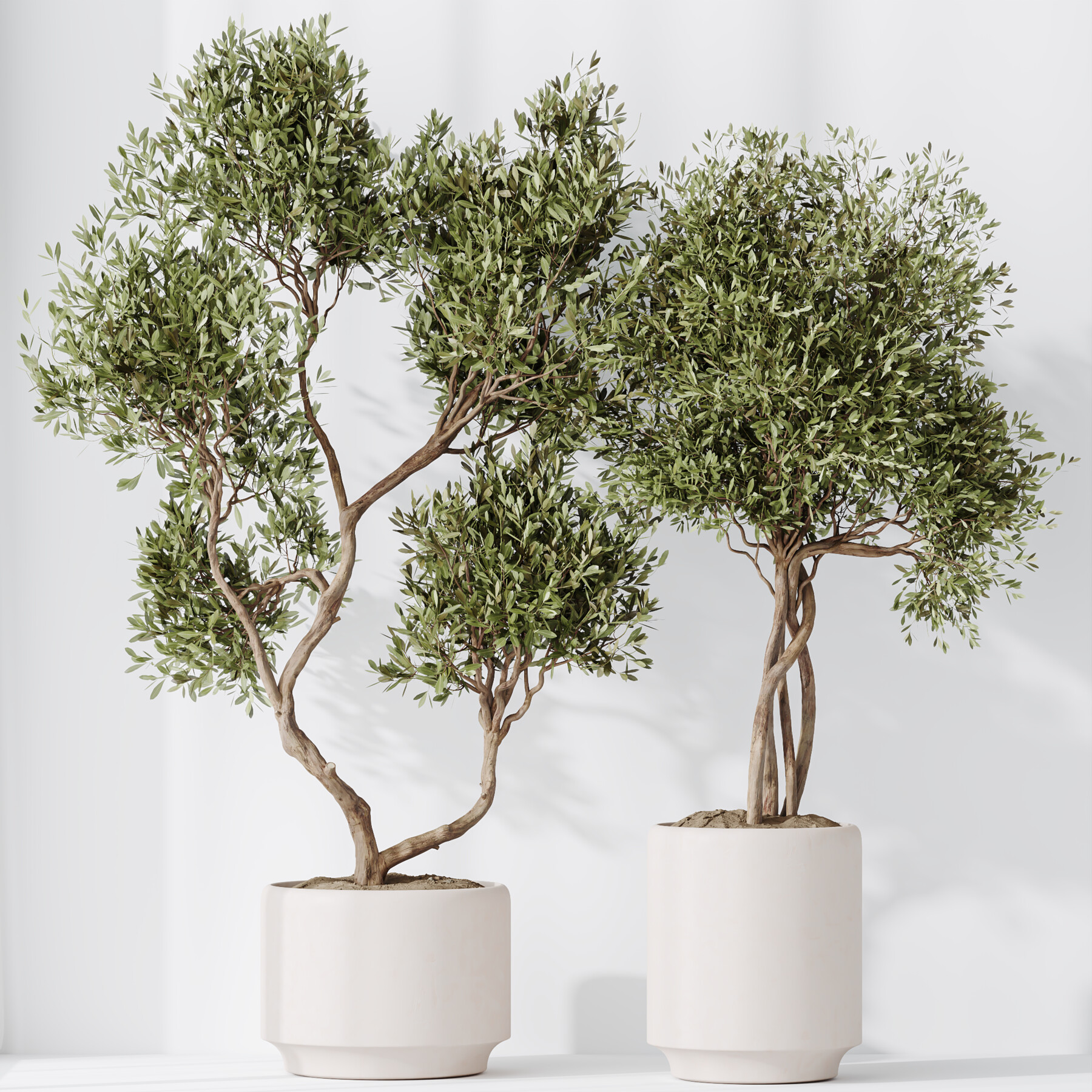 ArtStation - HQ HousePlants Olive Artificial Olivo Olea Tree Set02