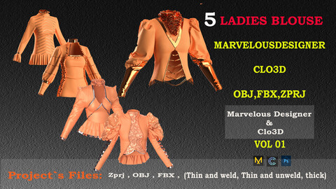 5 LADIES BLOUSE DESIGNED BY ME IN THE CLO3D AND MARVELOUS DESIGNER ( ZPRJ, FBX, OBJ, PNG)