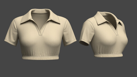 Crop_Top_3d_Model