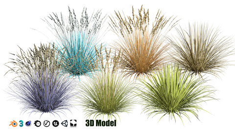 Realistic 3D Blue Fescue in all season colors