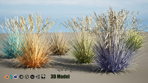 Low Poly Blue Fescue in all season colors