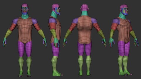 Disney Male Lowpoly Bassemesh V1