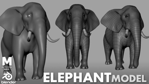 Elephant - Topology + UV Map