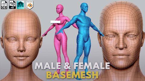 Male & Female BaseMesh  - Topology + UV map