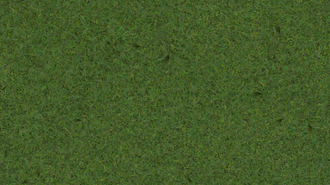 Grass Seamless Texture Patterns 2k (2048*2048) | PNG 4 | JPG 4 File Formats All Texture Apply After Object Look Like A 3D