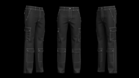 Cargo Pant 3d Model