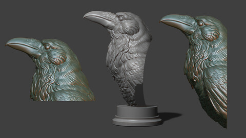 Raven head bust