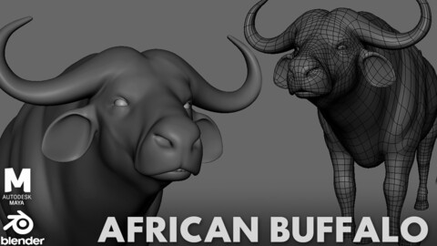 African Buffalo - Topology + UV Map