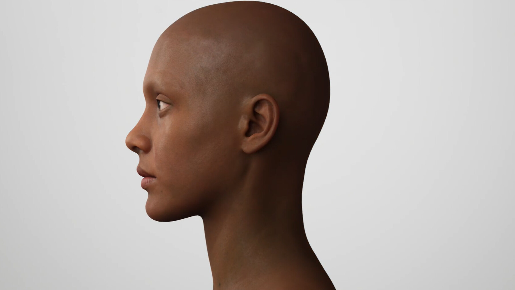 Artstation Female Head 3 3d Model Resources