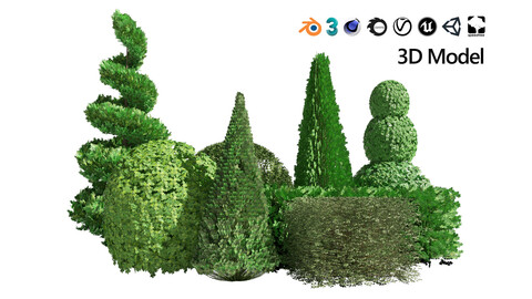 Suffruticosa Boxwood Collection for 3d Landscape