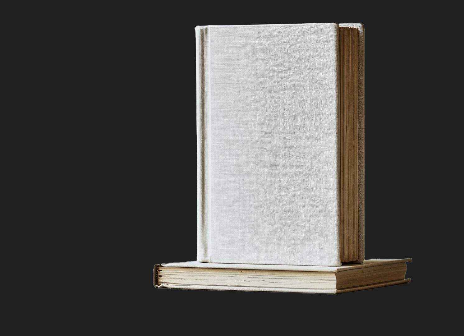 ArtStation   Versatile Blank Book Covers   Unleash Your Creativity