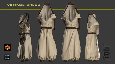 Female vintage dress