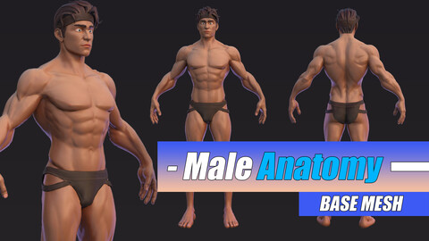 Muscle Male Basemesh