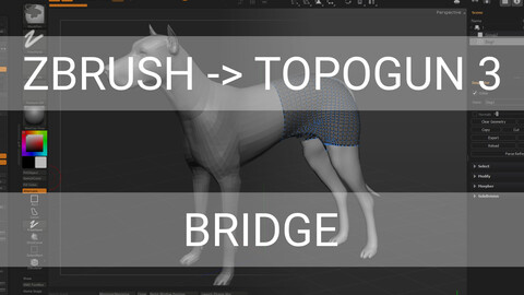 Zbrush 2022 - Topogun 3 Bridge plugin
