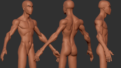 Stylized Male Basemesh - HighPoly