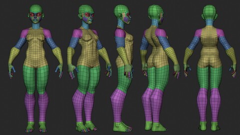 Stylized Ripped Female Basemesh v1