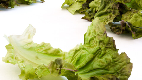 Red Leaf Lettuce Leaves and Cutted Lettuce Low-poly 3D model