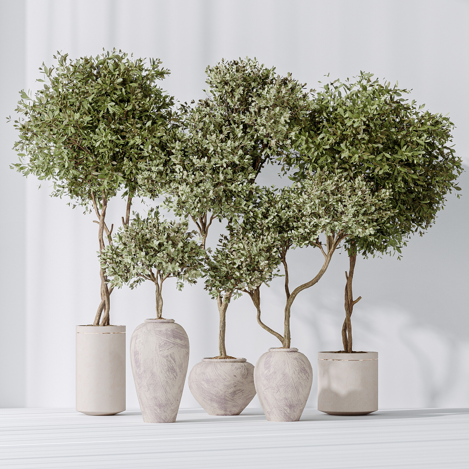 ArtStation - Artificial Olivo Olea Tree Indoor Vase
