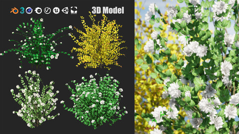 Minnesota Snowflake Mock Orange flower 3d pack