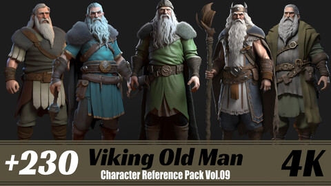 +230 Viking Old Man | 4K | Character Reference Pack Vol.09