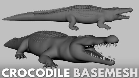 Crocodile / Alligator - Topology + UV map