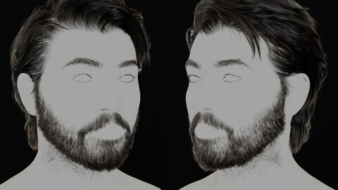 Male Hair Beard xgen