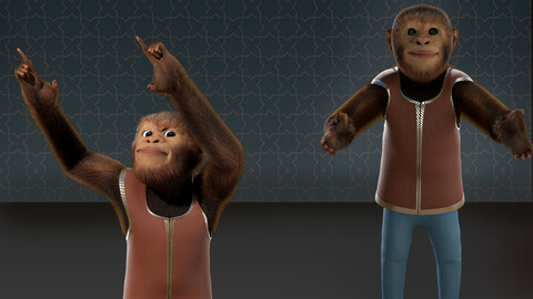 Cartoon Monkey Rigged