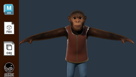 Cartoon Monkey Model